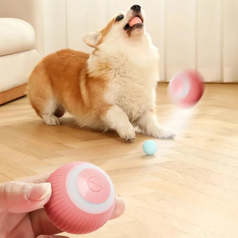Pelota Inteligente Para Mascotas Recarga